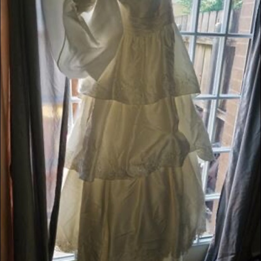 David’s Bridal wedding dress